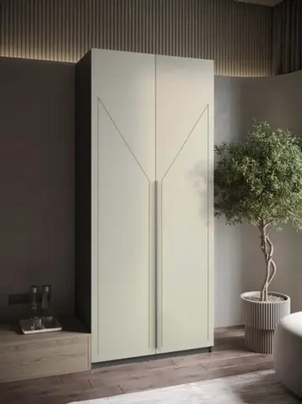 Шкаф распашной 100х50х220 двухдверный Mirage 4