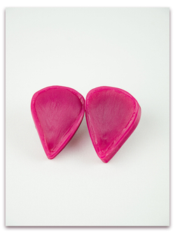 Лепестки ранункулюса