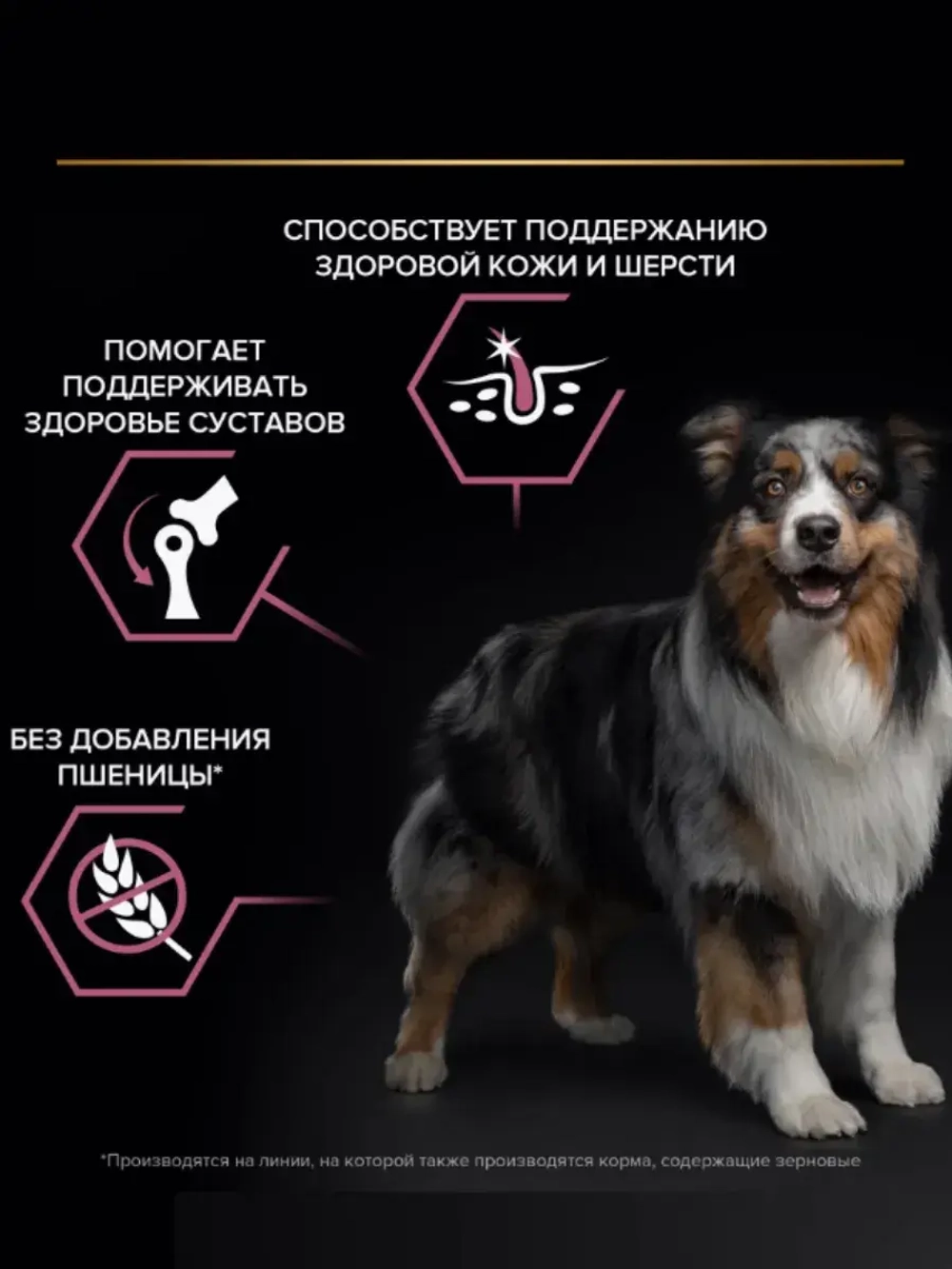 PRO PLAN (Про план Мини) сухой корм для собак с лососем 7 кг