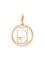 Фото подвески золотое сечение в круге из золота, вид сзади