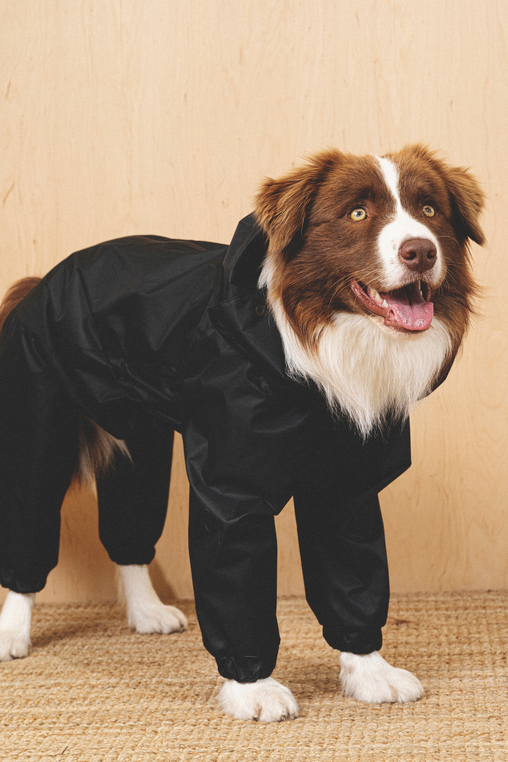 Комбинезон "Пони-комбинезони" черный