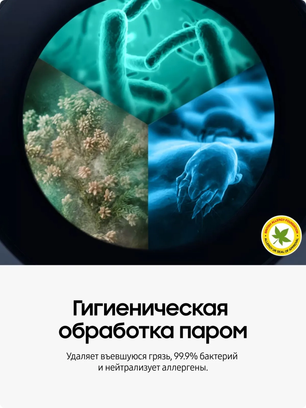 Стиральная машина Samsung WW70AG5S20CXLP