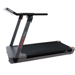 Беговая дорожка Ergonova MaxBurn Pro