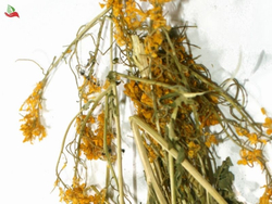 Скрутка из травы Сурепка