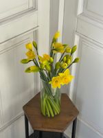 Нарцис желтый