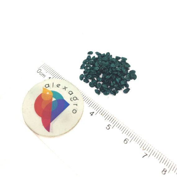 Байя Верде семена лука на перо