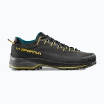 Ботинки La Sportiva TX4 Evo GTX carbon/bamboo