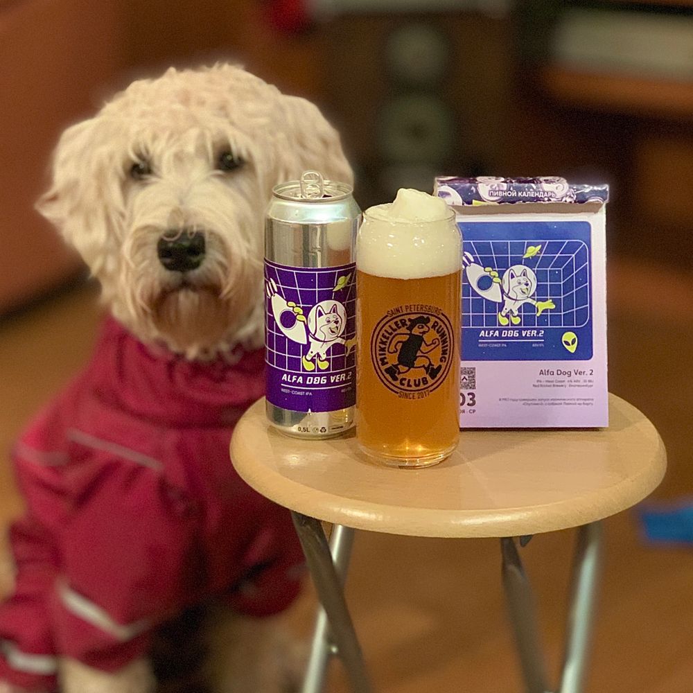 Пивной календарь: 365 этикеток крафтового пива. Лимитированный дизайн