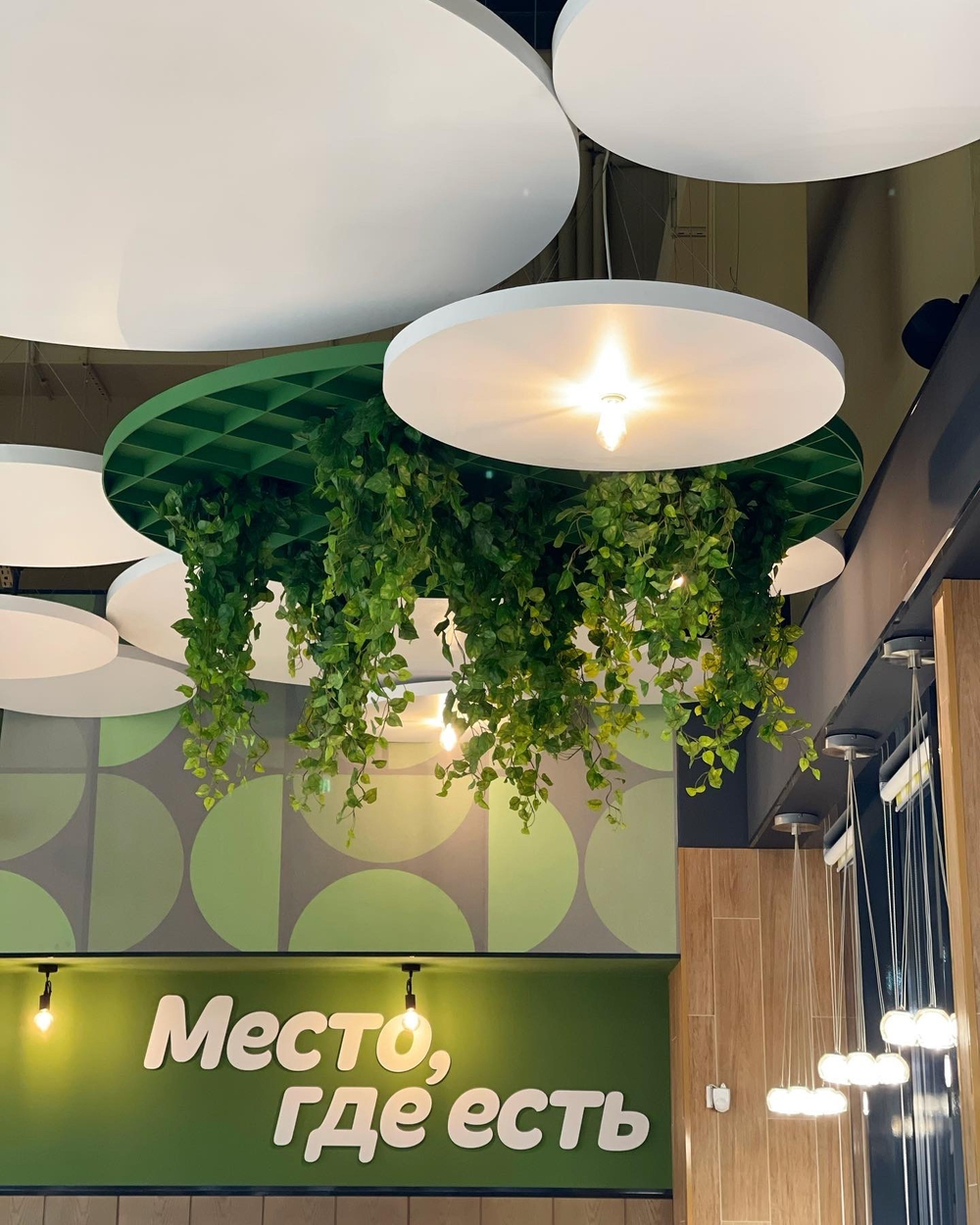 Озеленение искусственными растениями кафе в супермаркете "Табрис"  г.Краснодар