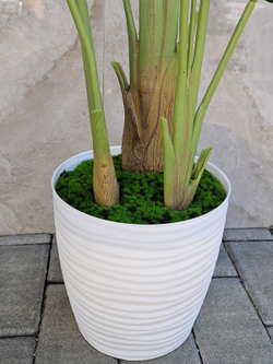 Искусственная стрелиция — красивое искусственное декоративное растение для украшения интерьера