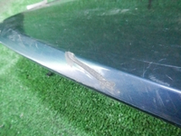 DSCN8996.JPG