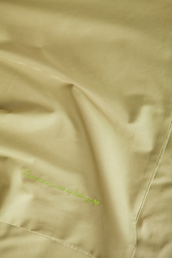 Постельное белье 1.5 спальное Luxberry Daily Bedding оливковое фрагмент