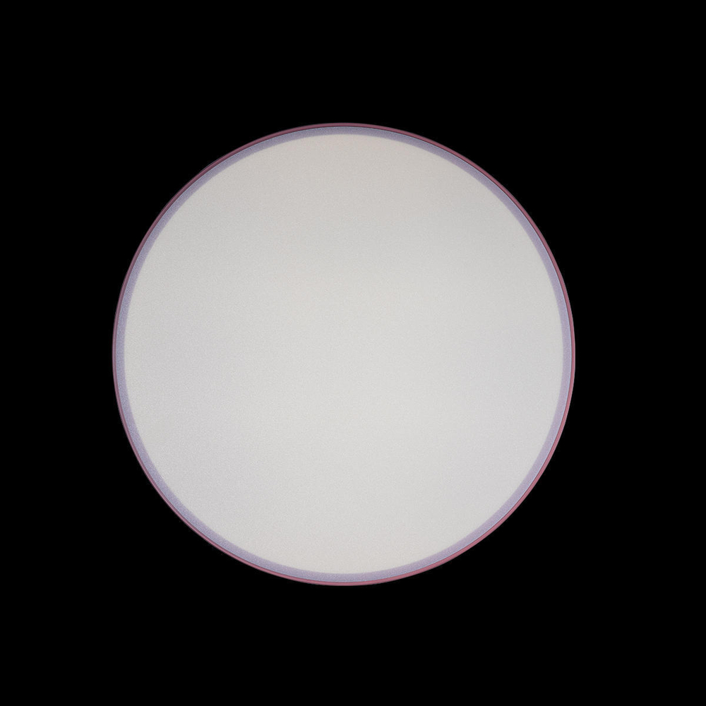 10002/24 Pink Потолочный светильник LOFT IT Axel