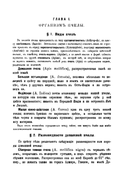 Курс пчеловодства | Кулланда Иларион Семенович