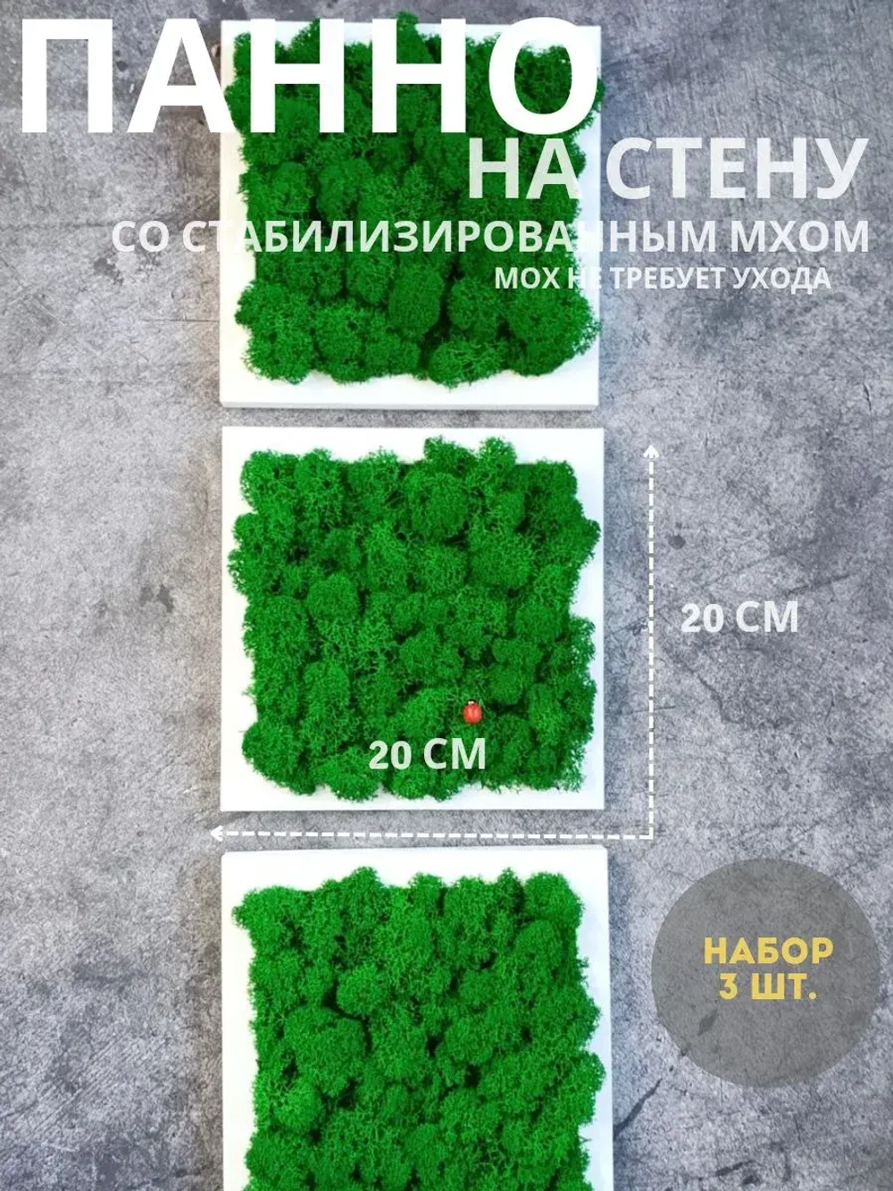 Панно из мха набор 3 шт.
