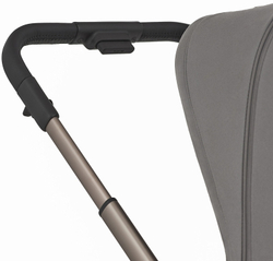 Детская коляска Anex Flo 2 в 1 Charm