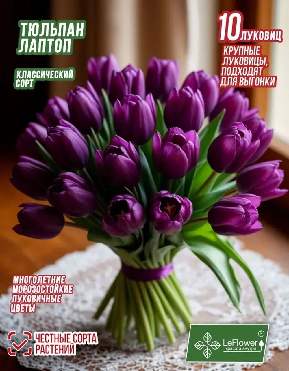 Тюльпан Лаптоп, 10 шт, крупные