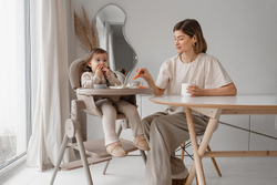 Стул-трансформер для кормления Anex Ozy fluff