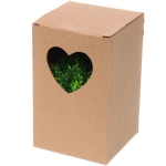 Цветочная композиция «Green garden» 10*12см в горшке, туя