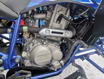 Квадроцикл PROMAX RAPTOR 300 NEW