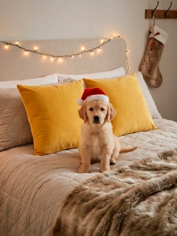 Подушки декоративные диванные 40х40 см