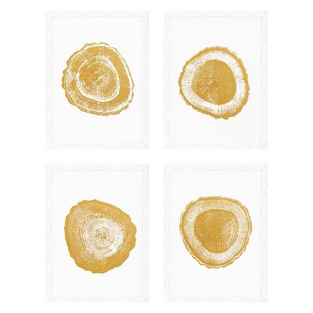 Постер Gold Foil: Tree Rings (4 шт.) 110875 EX