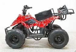 Электроквадроцикл Green Camel Гоби K51 (36V 800W R7 Цепь) ножной тормоз