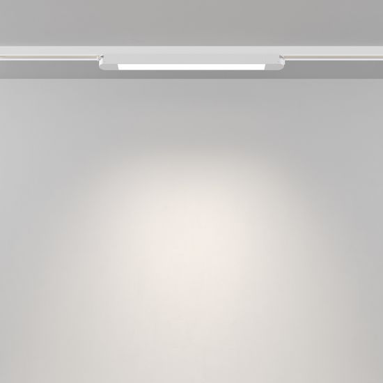 Трековый светильник Technical TR000-1-12W4K-W_1