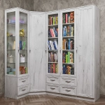 Угловой шкаф 14