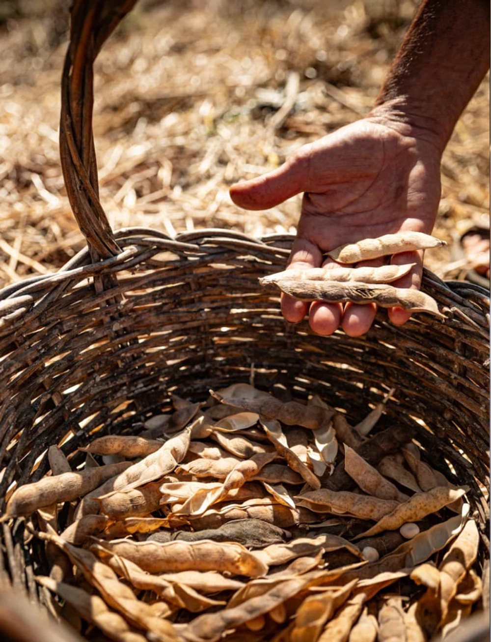 NOUNOU/ oil - Питательное масло для химически поврежденных волос (новое поколение ) 50 мл