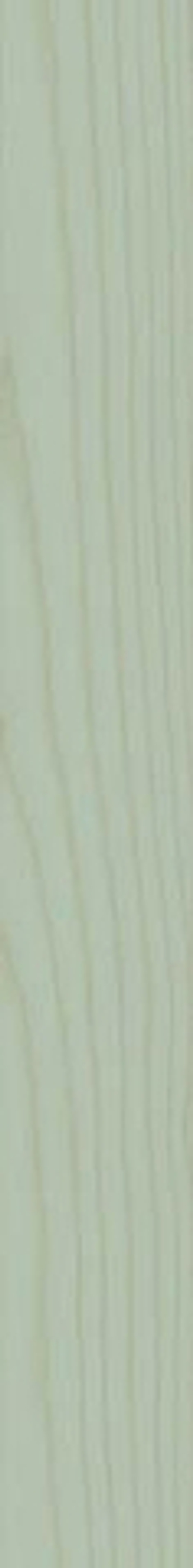 Керамогранит TC11 Sage (410TC11)