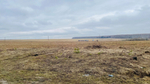 4,45 гектара с.Ульянино