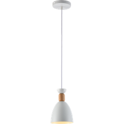 Светильник подвесной (подвес) Rivoli Catherine 5109-201 1хЕ27 60 Вт лофт-кантри | Лофт-Кантри