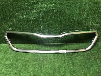 Молдинг решетки радиатора Skoda Rapid 2 (2020-нв)