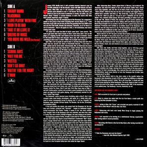 The Runaways / The Best Of (LP)