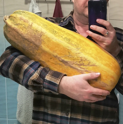 Кабачок Марроу Выставочный Гигант - Marrow Exhibition Giant