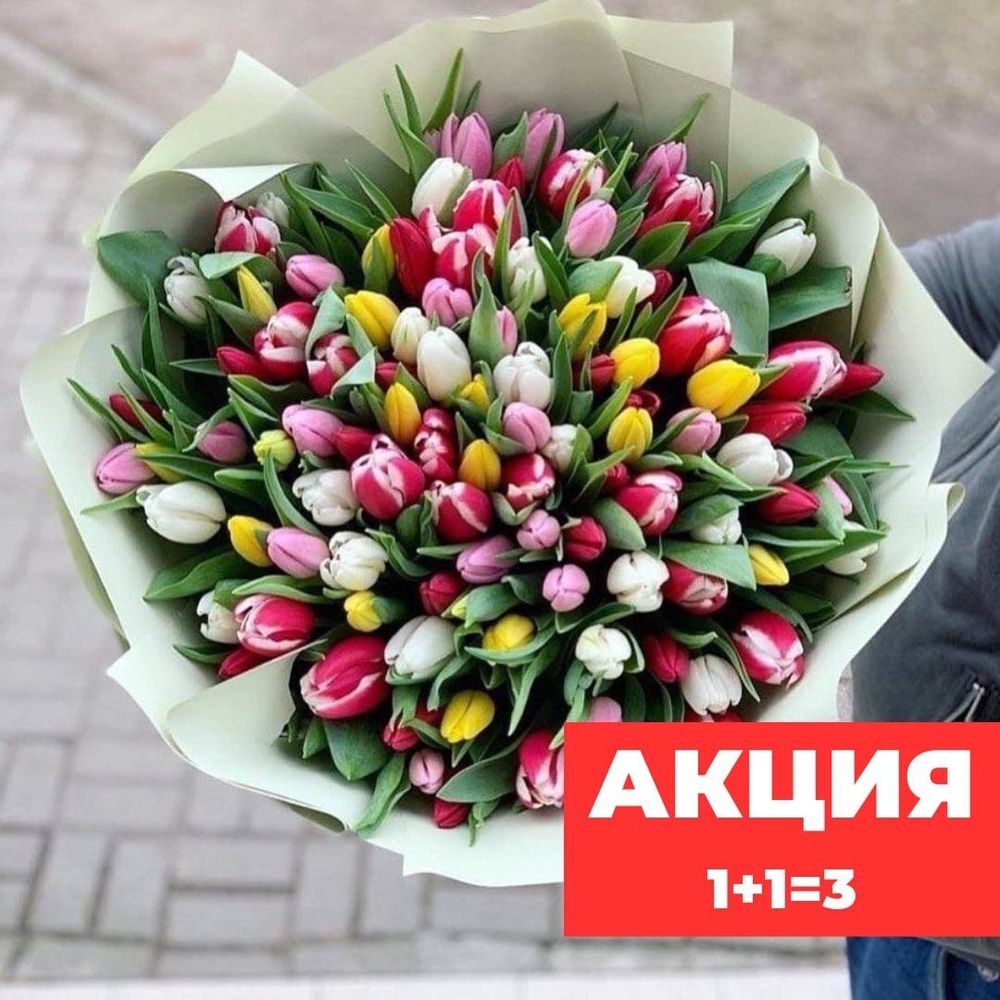 Акция 1+1=3 (101тюльпан)