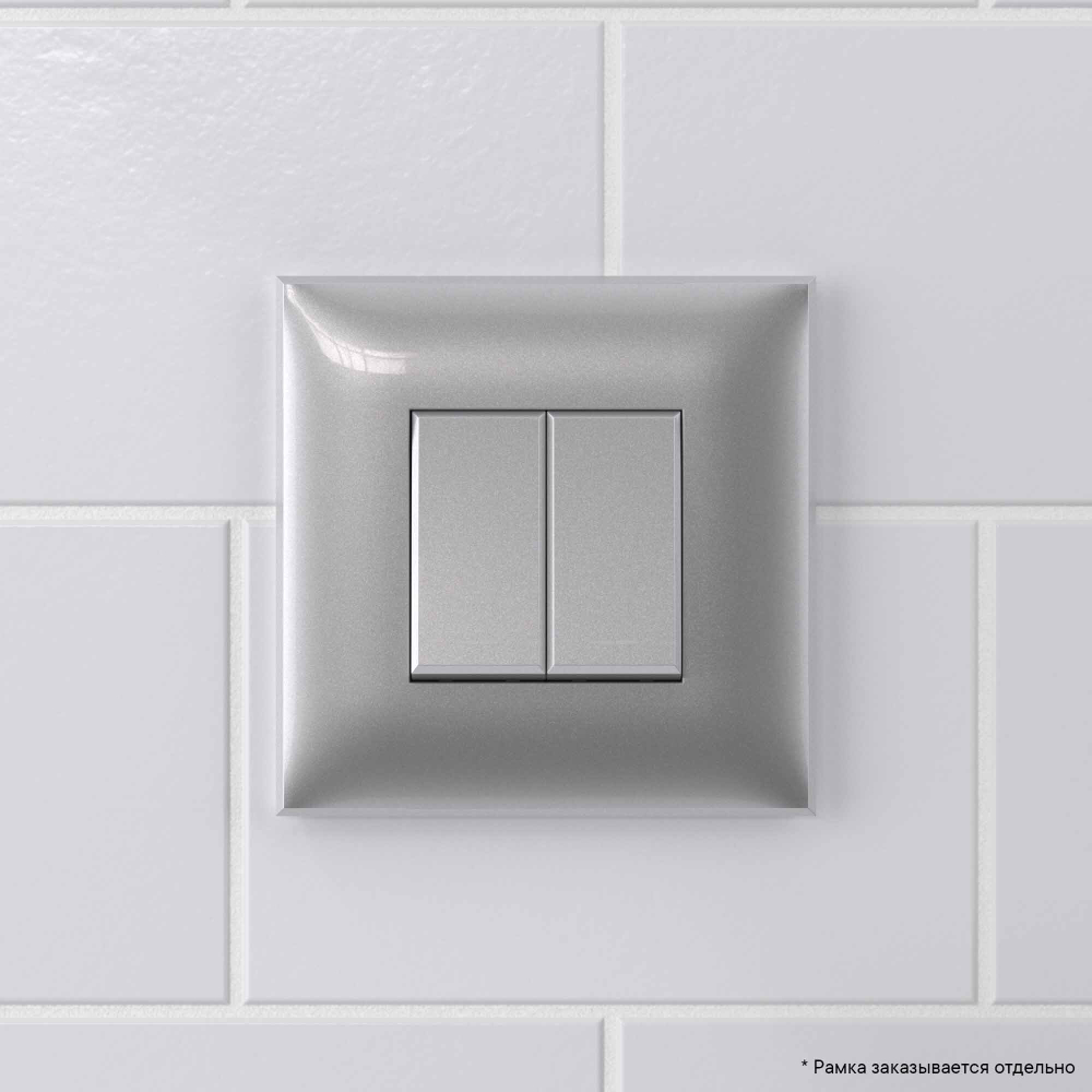 Выключатель двухклавишный в стену, "Avanti", "Закаленная сталь"