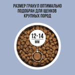 Bowl wow корм сухой для щенков крупных пород: индейка, ягненок, рис, черника