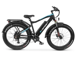 Трехколесный электрофэтбайк трицикл Grizzly M5