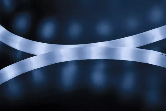 Дюралайт светодиодный 2-х проводной, диаметр 13 мм., 220В, холодные белые LED лампы 36 шт на 1 м., бухта 100 м., матовый, статика, Teamprof (TPF-DL-2WHM-100-240-W)