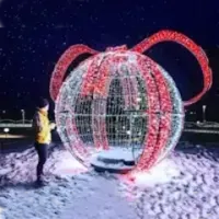 Шары и Подарки