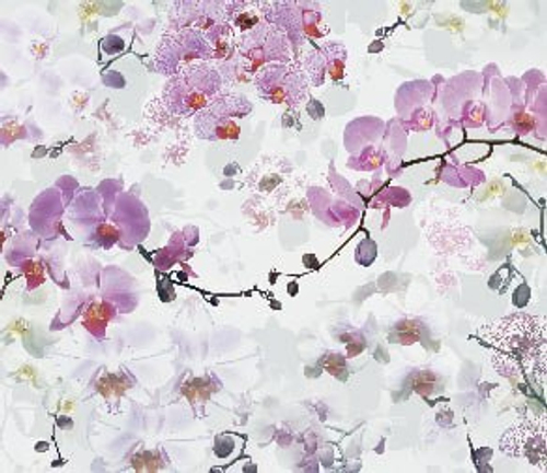 Дизайнерские №237 Фотообои и Фрески