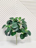 Пеперомия искусственная 25см