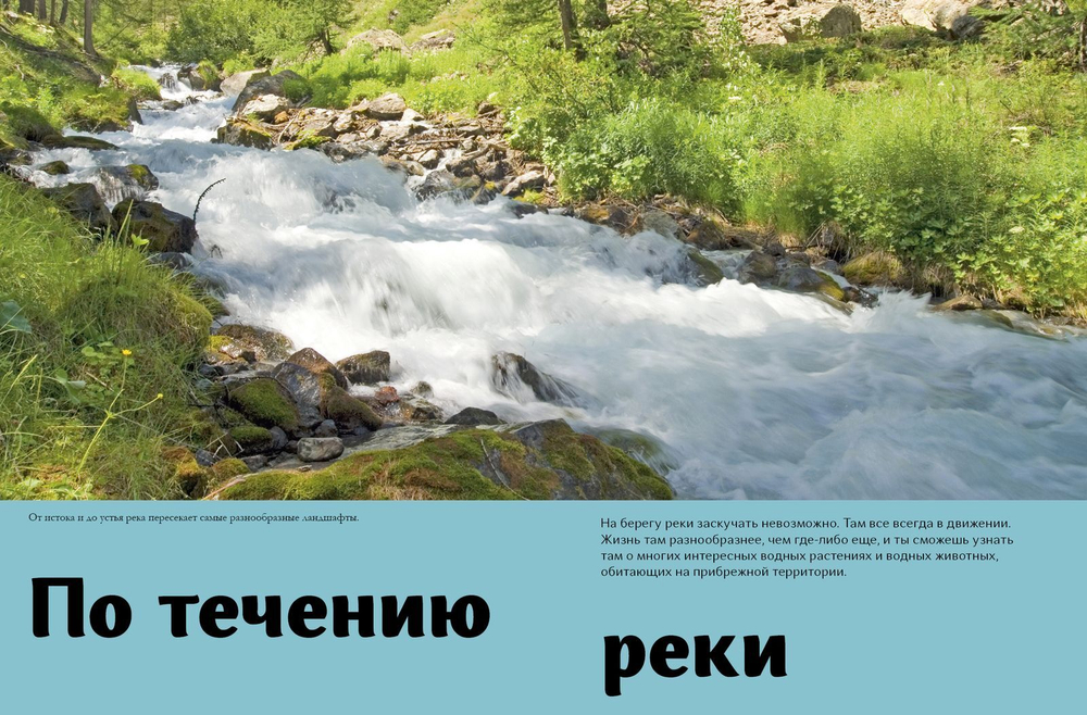 Новаторы. Энциклопедия природы