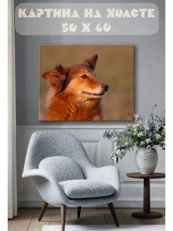 Картина на стену 40 X 50 Собака