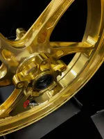 Кованые диски для TRIUMPH STREET TRIPLE 765 RS 1200 RR Триумф мотоцикл колеса ковка диск
