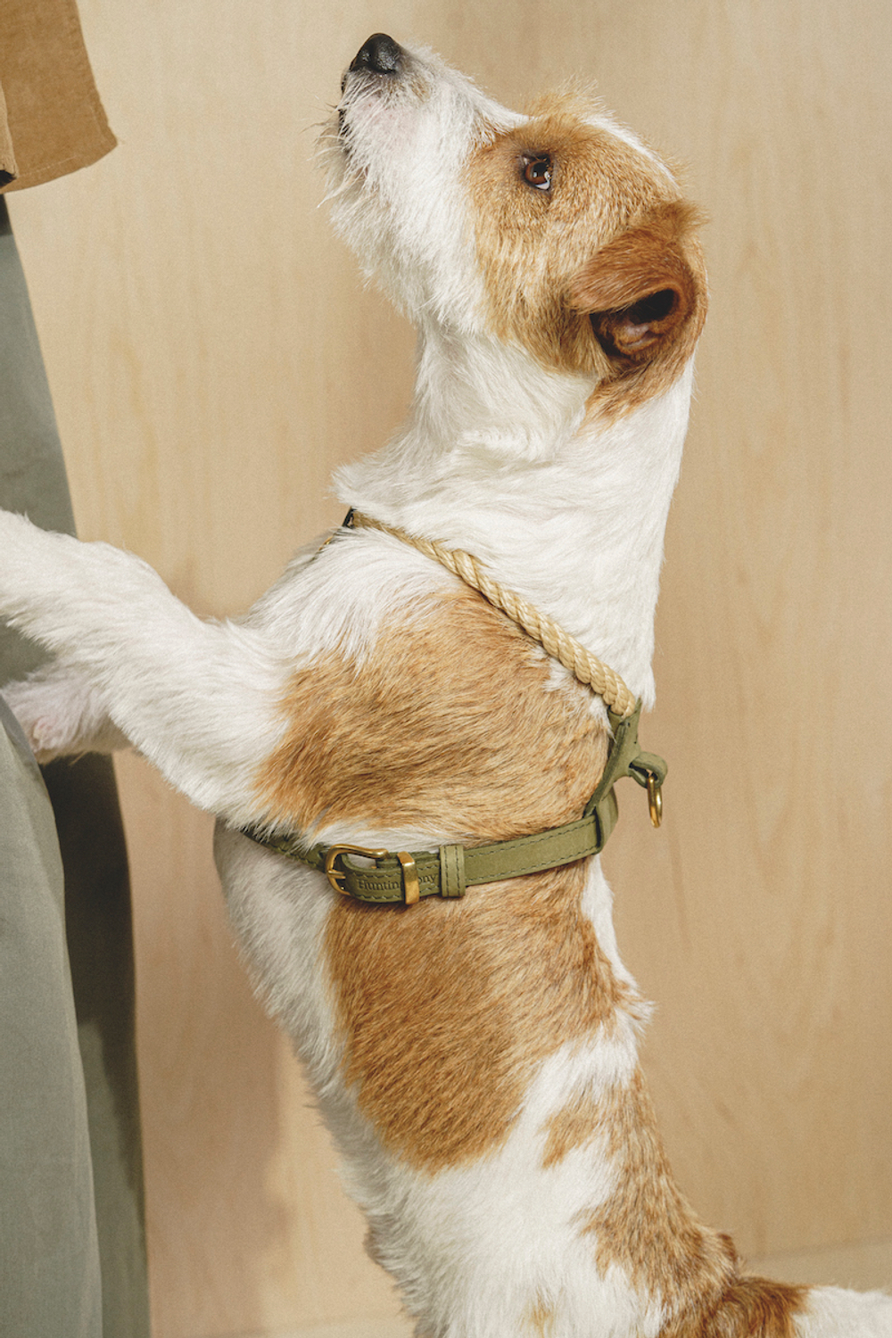 Шлейка "Кантри-пони" Зеленый