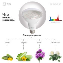 Фитолампа для растений светодиодная ЭРА FITO-15W-Ra90-E27 полного спектра 15 Вт Е27 | Фитолампы Е27