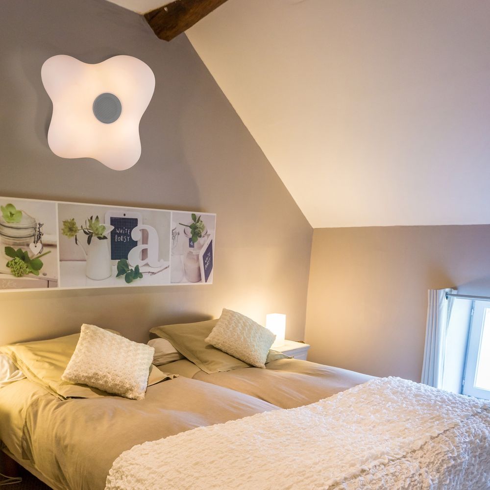 Потолочный светильник EOS 5874